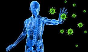 Berberine HCL: Gut Health & Metabolic Support