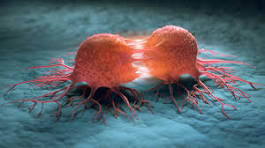 The Cancer Landscape: Types, Causes, Symptoms & Natural Holistic Support Approaches