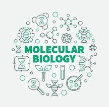 The Molecular Biology of Ivermectin in Cancer: A Deep Dive into Its Multi-Target Mechanisms