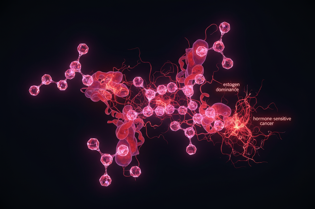 The Estrogen-Cancer Connection: Xenoestrogens, Estrogen Dominance, and Hormone-Sensitive Cancers
