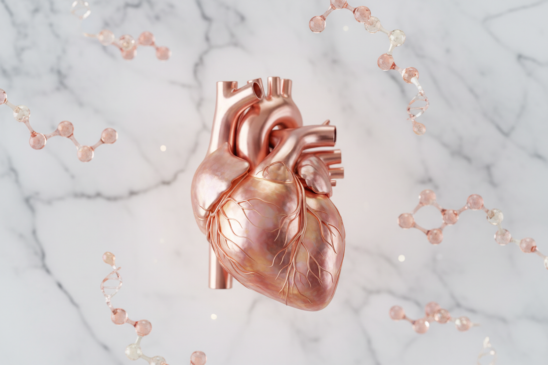 Hormones & Cardiovascular Risk