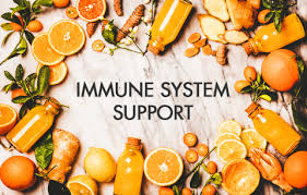 Quercetin: Immune Support & Anti-Inflammatory Properties