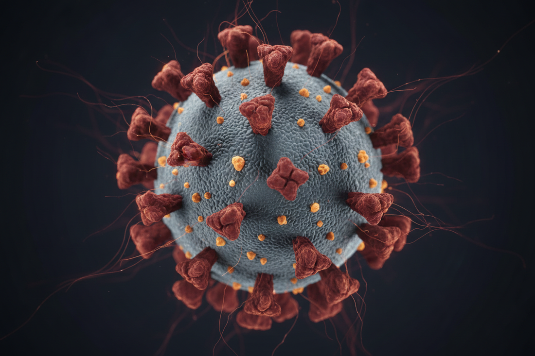 Infectious & Post-Infectious Disease: Lyme Disease, Long COVID & Chronic Viral Illness
