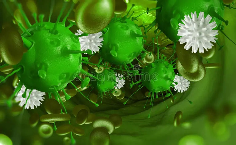 Scientific illustration of inflammation pathways and cancer cell development