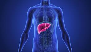 Liver Detox: Your Body's First Line of Defense Against Cancer