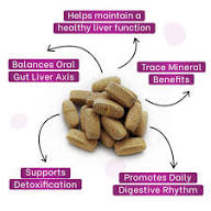 Five Powerful Allies for Liver Health: Serrapeptase, Milk Thistle, Curcumin, Burdock Root, and TUDCA