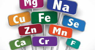 Why Minerals Matter: The Missing Link in Your Vitamin Routine