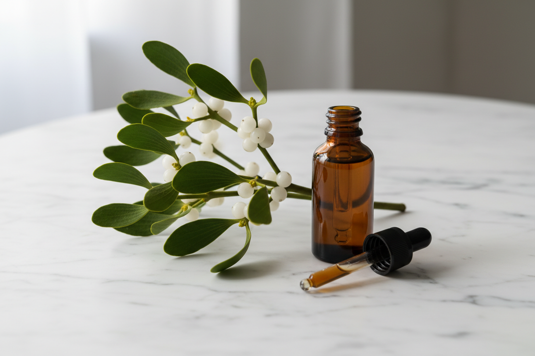 Mistletoe Extract: The Immune-Modulating Botanical with Remarkable Therapeutic Potential