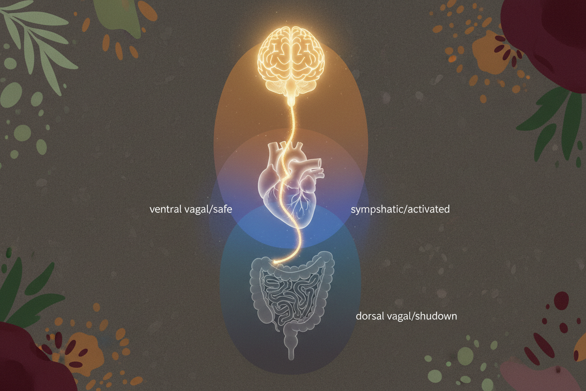The Polyvagal Theory & Nervous System States