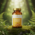 Curcumin Turmeric Extract